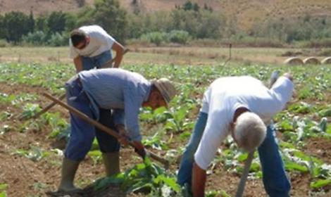 Sentenza Paola Clemente, gli imprenditori agricoli: "La nostra priorit&agrave; &egrave; sempre stata la sicurezza"