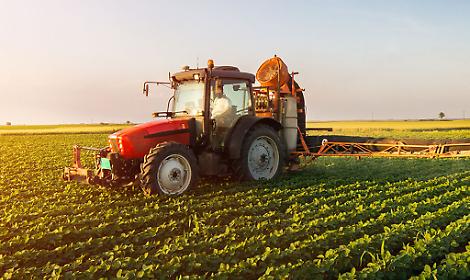 Dal 16 ottobre via agli anticipi Pac: in arrivo il 70% per sostenere gli agricoltori pugliesi
