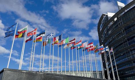 Europa, Mercosur e cialtroni, quarant&rsquo;anni dopo ecco il conto pagato dall&rsquo;agricoltura italiana