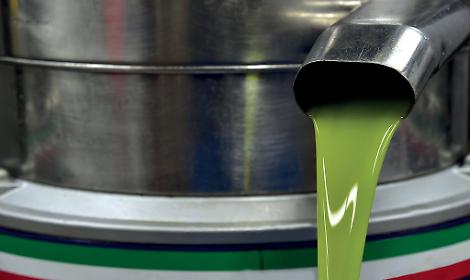 Olio d&rsquo;oliva, la Puglia domina la produzione italiana ma l&rsquo;Italia arretra nel mondo