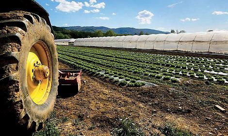 Biometano, la sfida pugliese vale 288 milioni di metri cubi l&rsquo;anno