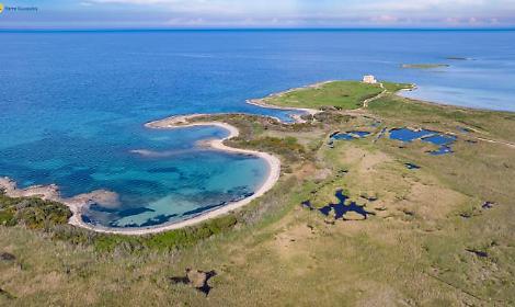 Torre Guaceto, avviso per le nomine di 2 rappresentanti del Comune