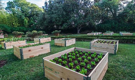 Orti urbani al Cillarese e a La Minnuta, pubblicato l’avviso per le assegnazioni