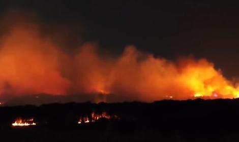 Incendi, nel Salento numeri record: &ldquo;Ora serve una strategia strutturale&rdquo;