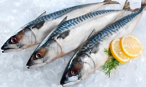 Speciale Sorsi & Morsi