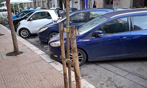 Via Nitti si rinnova con 20 nuovi alberi