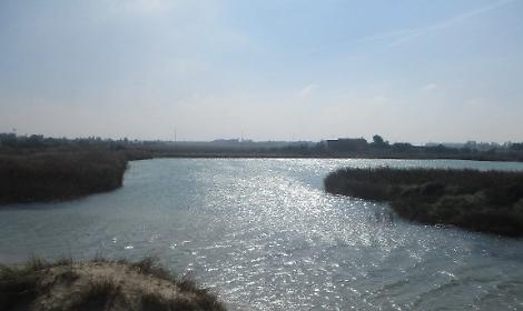 Il fiume Idume a Torre Chianca - foto della pagina Fb Fiume Idume, Torre Chianca