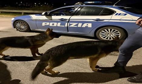 I cani salvati dalla Polizia di Stato di Brindisi