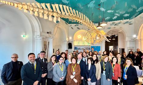 Taranto laboratorio dei porti crocieristici