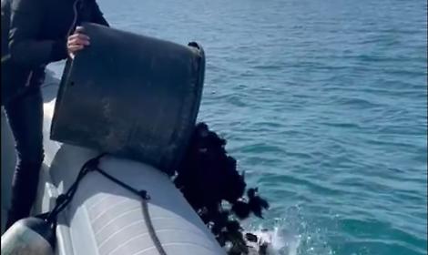 Ricci di mare nascosti in citt&agrave; vecchia, sequestrati 30 chilogrammi