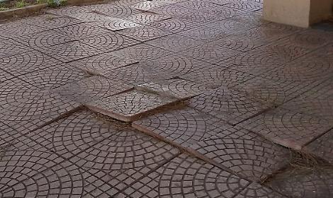 Radici dei pini sollevano i marciapiedi, appello del parroco al Comune