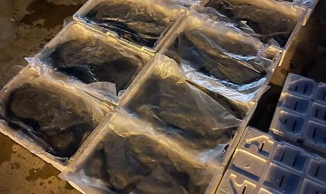 Sequestrati 60 kg di bianchetto sulla SS 106, multa da 4.000 euro