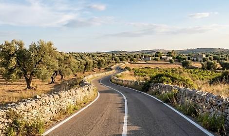 Una strada del Salento - archivio