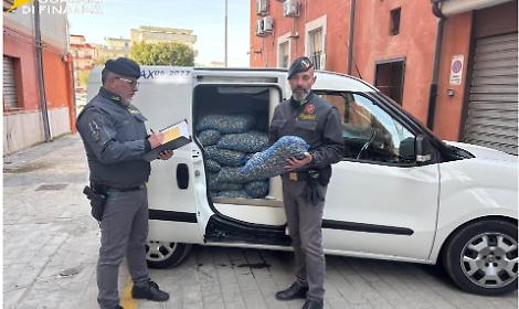 Sequestrata dalla Finanza una tonnellata di molluschi pericolosi