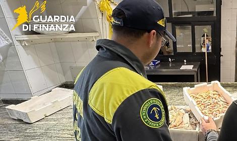 Controlli su pesce e ricci di mare, sequestri tra Porto Cesareo e Gallipoli