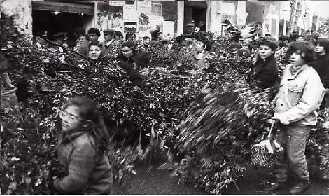 La festa di San Giuseppe di San Marzano - foto di Carmine la Fratta