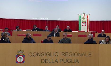 La riunione congiunta delle Commissioni regionali I e III