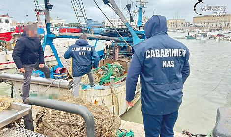 Lavavano il pesce con l'acqua del porto, sequestrate le bancarelle. Otto gli indagati