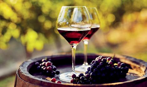 Salice Salentino DOC, 50 anni di storia: al via le celebrazioni tra vino, cultura e territorio