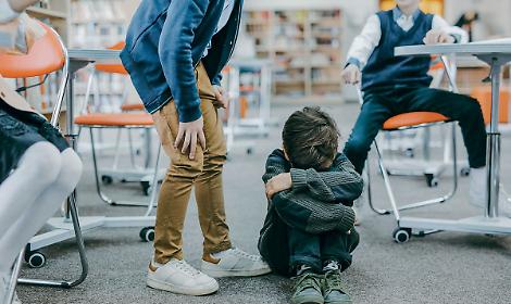 Ragazzina disabile vittima di bullismo da coetanei, "Urgente intervento educativo e scolastico"