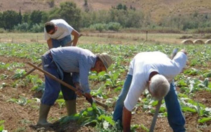 Click day agricolo, quote subito disponibili e imprese soddisfatte