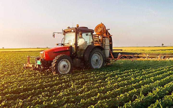 Biodiversità, la lezione della Francia chiama in causa la Puglia e i suoi agricoltori