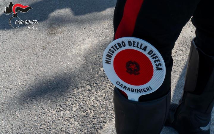I carabinieri della Bat