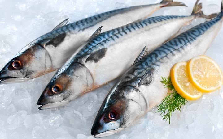 Speciale Sorsi & Morsi