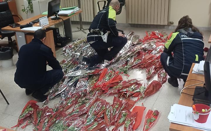 Le rose sequestrate dalla Polizia Locale di Taranto
