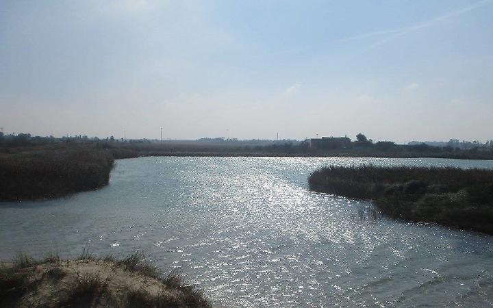 Il fiume Idume a Torre Chianca - foto della pagina Fb Fiume Idume, Torre Chianca