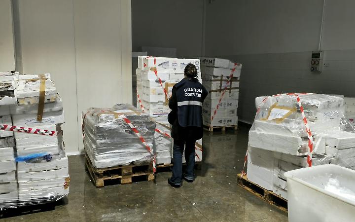 Pesce senza tracciabilit&agrave; e mal conservato, sequestrati 5 quintali