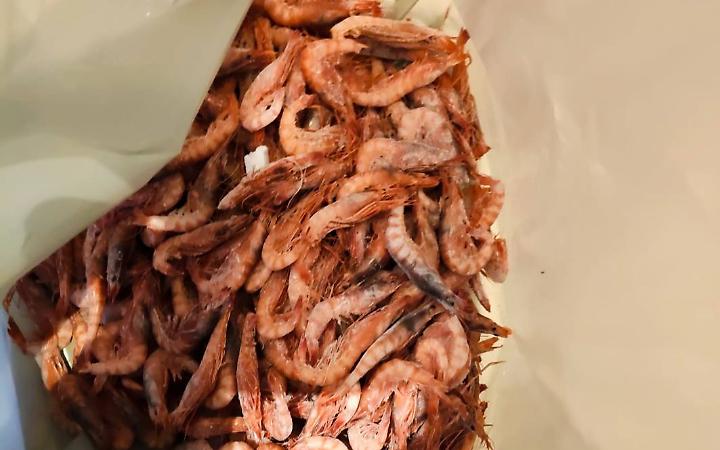 Pesce senza tracciabilit&agrave; in ristorante, sequestrati 100 chili di prodotti