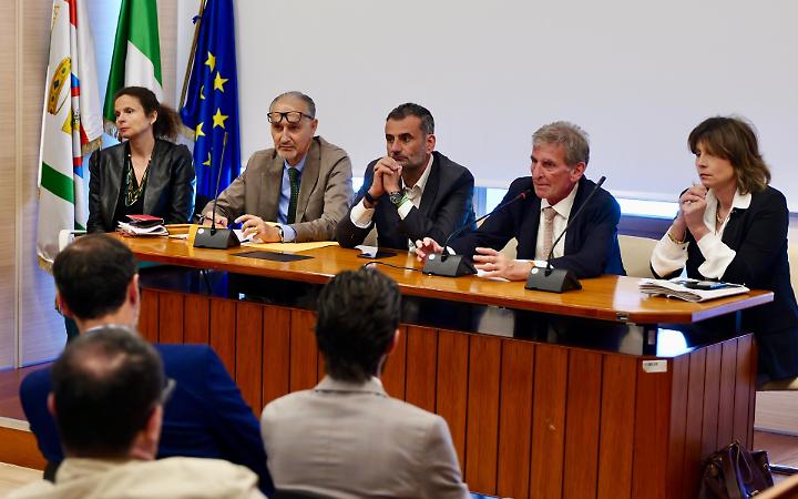 Vertenza Natuzzi, l'incontro in Regione