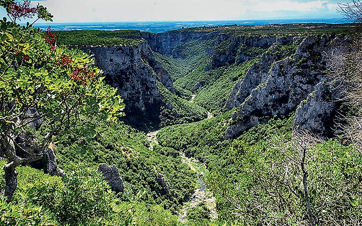 Universit&agrave; Popolare delle Gravine Ioniche, Giovanni Matichecchia nuovo presidente