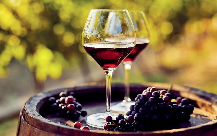 Vinitaly, il Ministro Lollobrigida: "La cucina italiana non sarebbe quello che &egrave; senza il vino"