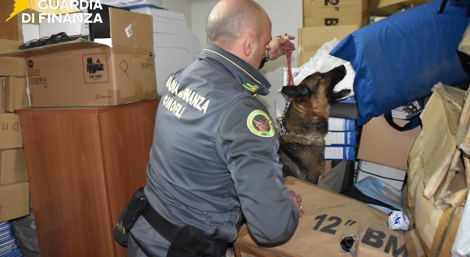 Blitz antidroga alla Salinella, due arresti e sequestro di armi e cocaina