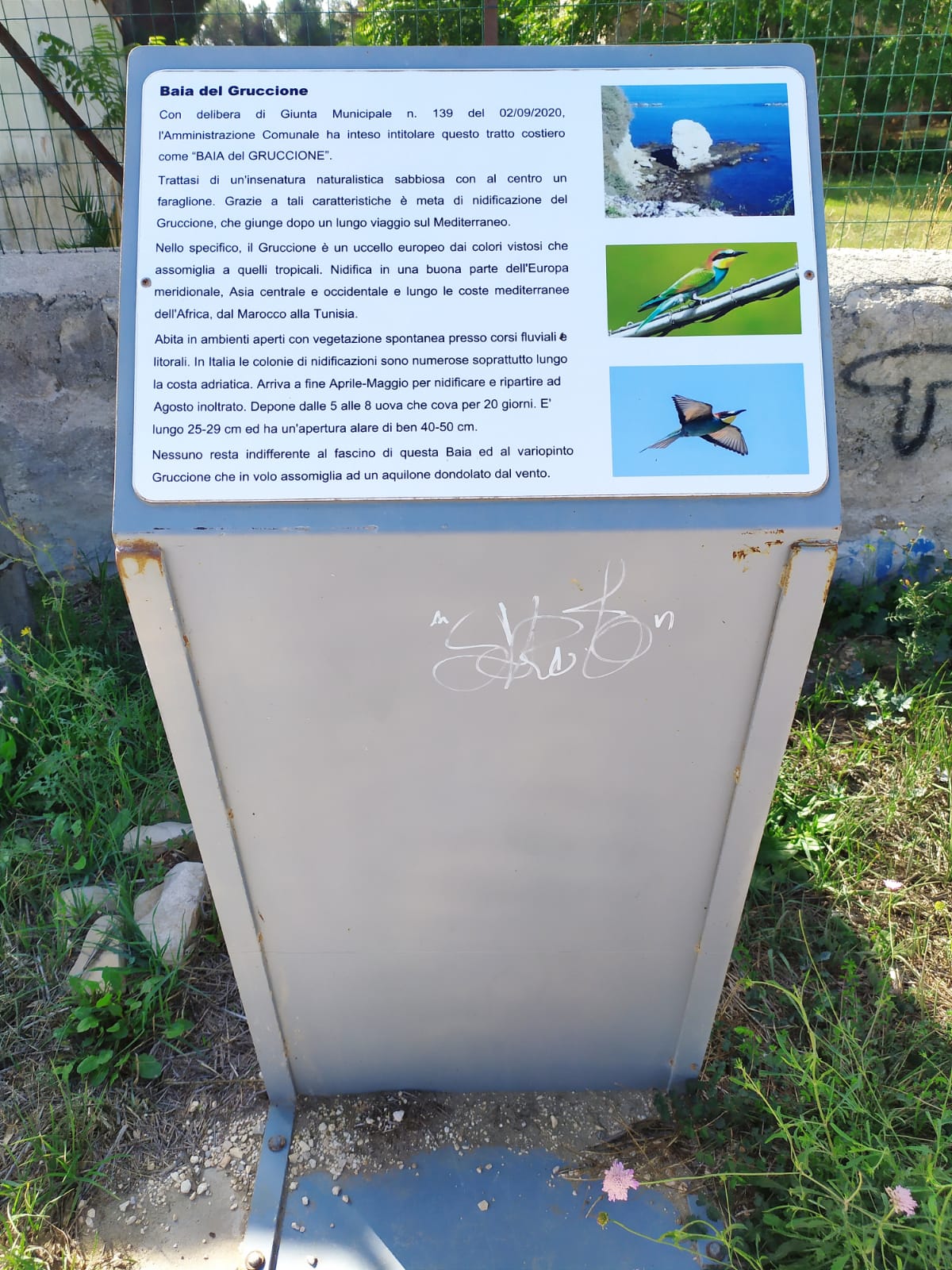 La descrizione del Gruggione