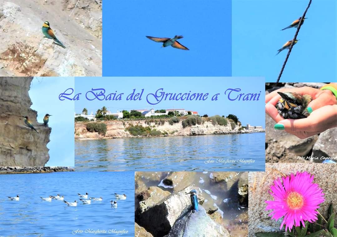 La Baia del Gruccione - foto di Margherita Magnifico