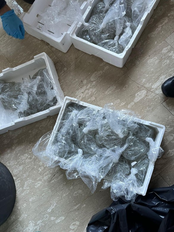 Il sequestro della Guardia costiera di Barletta