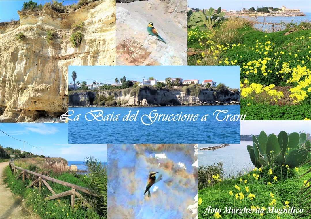 La Baia del Gruccione - foto di Margherita Magnifico