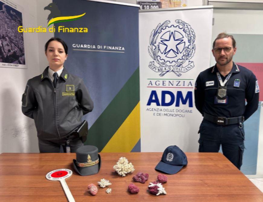 I coralli sequestrati in aeroporto a Bari