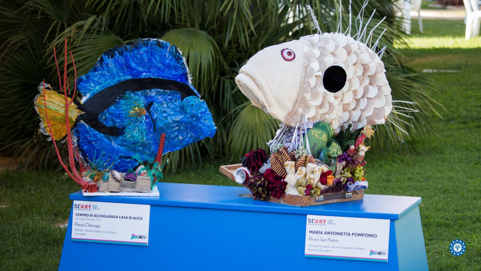  Premio ArpAmare 2025